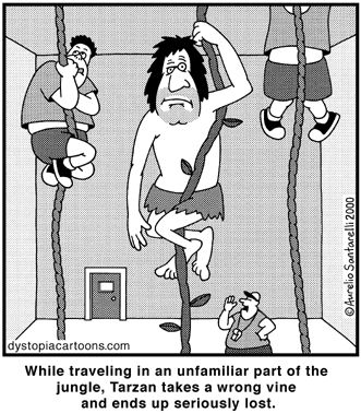 .. up and up he goes.... till he hits the ceiling...